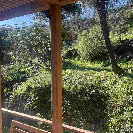 Le Nid De L'oliveraie * 멍똥