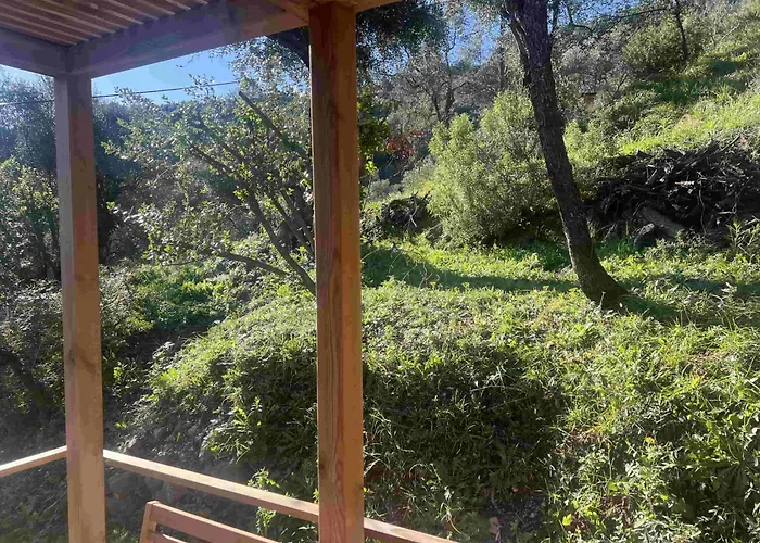 Le Nid De L'oliveraie * Menton